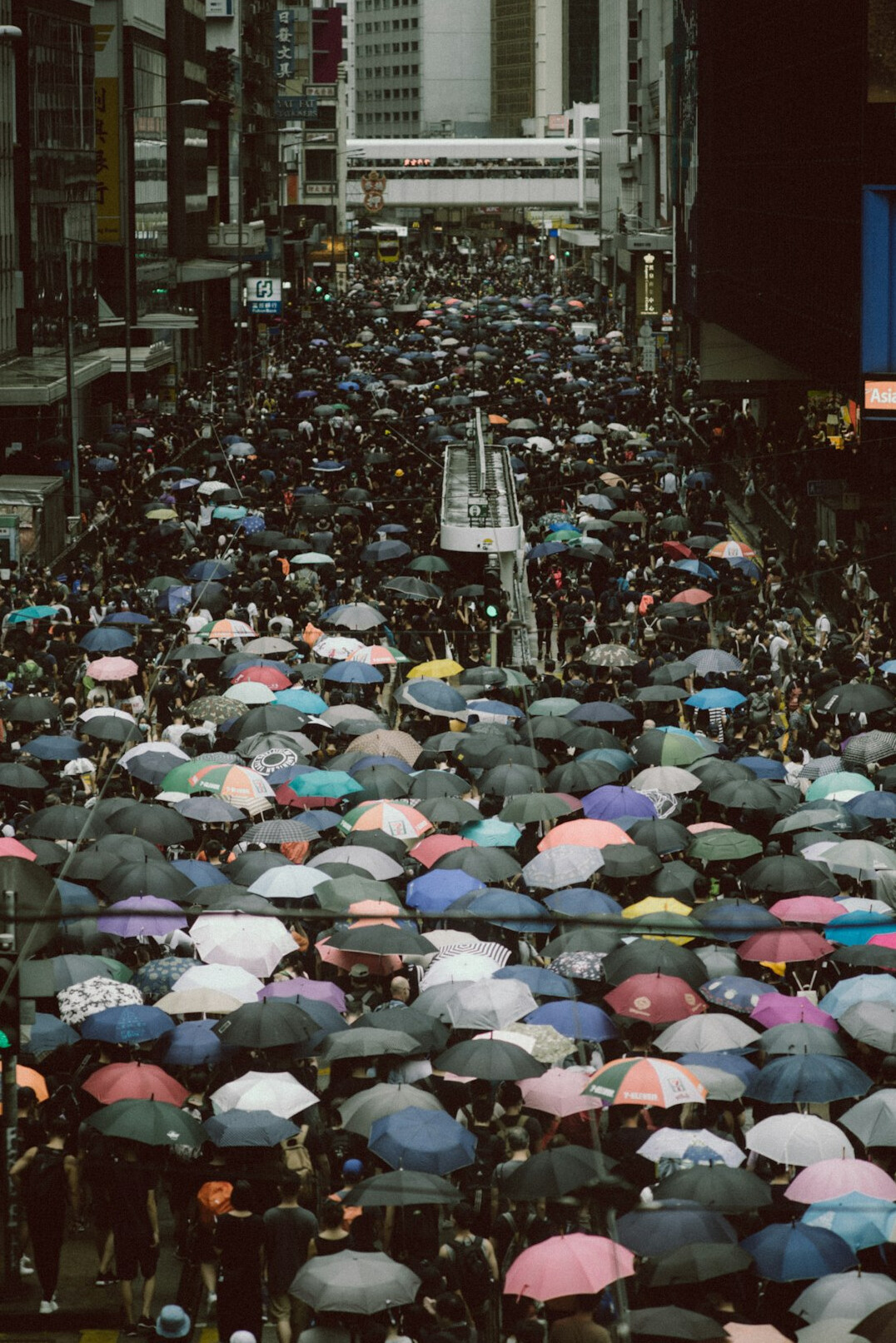 crowd of people in city