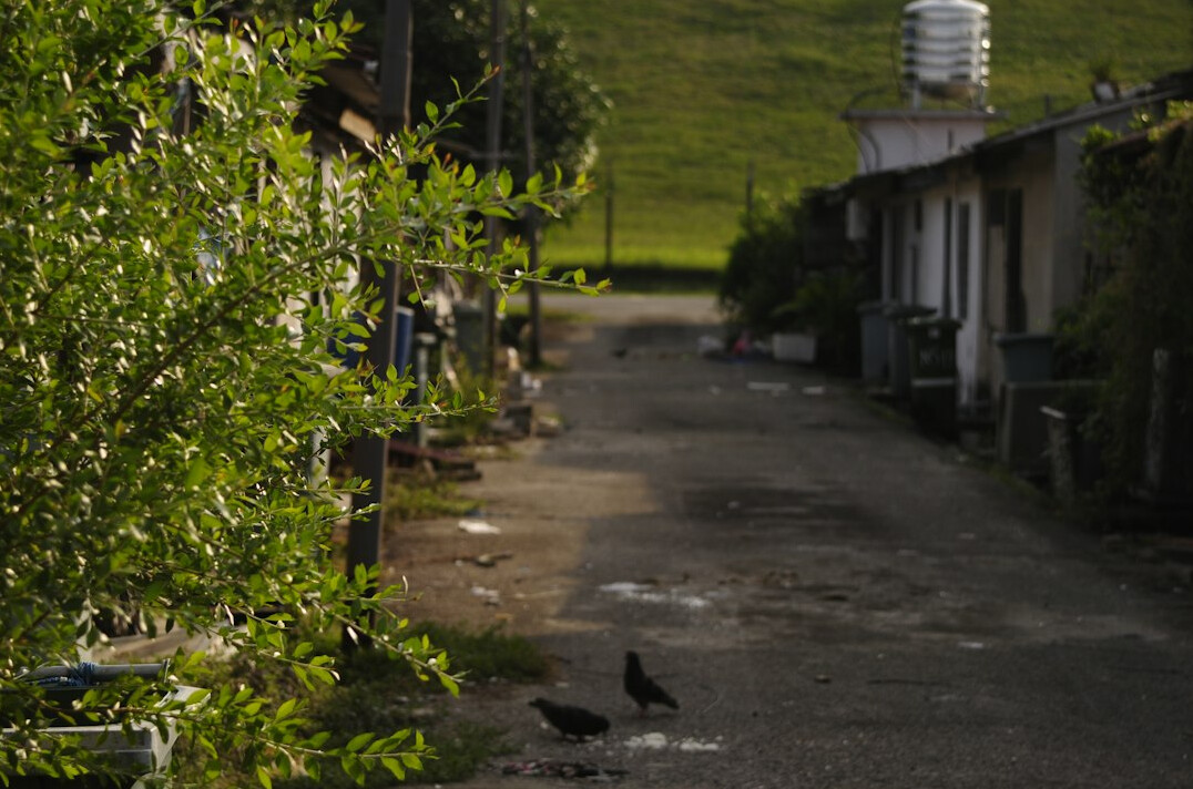 urban vs rural life